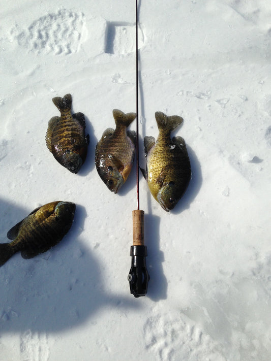 Pinpoint Ice Fishing Rod